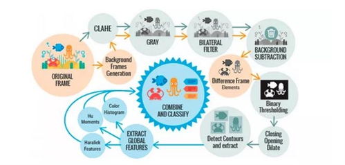 海洋生物檢測(cè)新方法 基于視覺(jué)數(shù)據(jù)自動(dòng)識(shí)別與分析技術(shù)